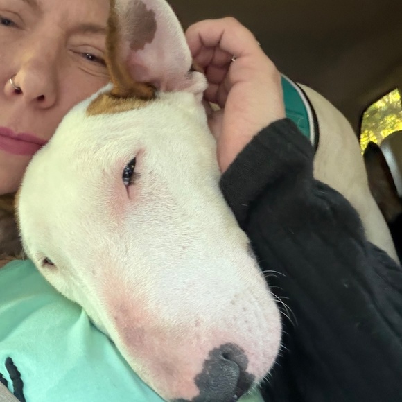 Meet your Posher, Kristen - Picture 3 of 11